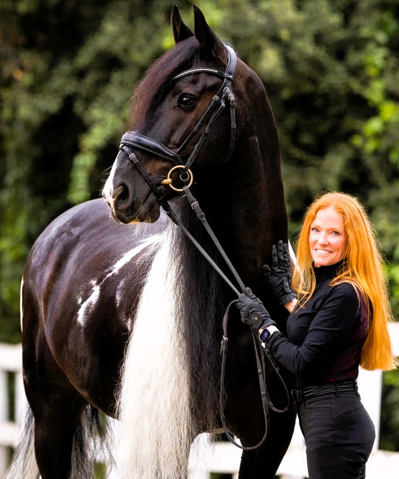 Friesian Calvijn BP 39 - Sold